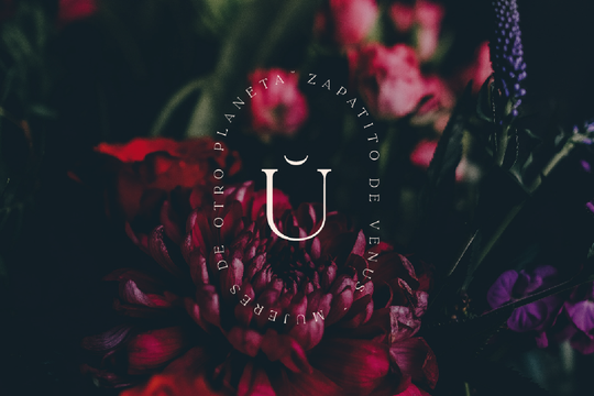 Magdalena's cover