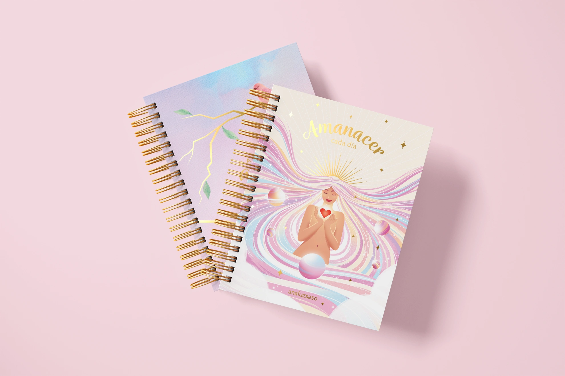 Agendas Ana Luz Saso