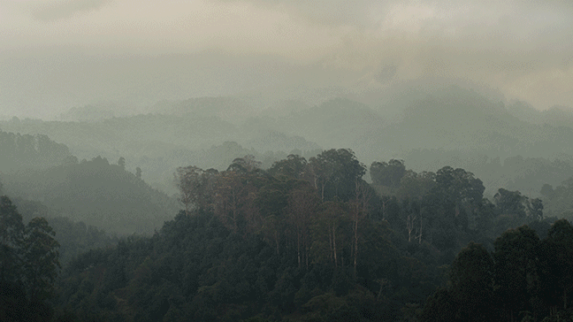 Pieza de portafolio 1