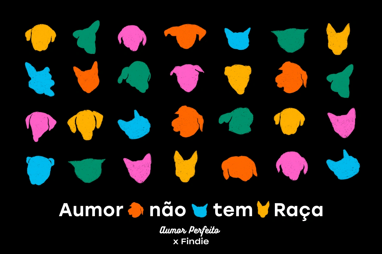 Findie x Aumor Perfeito · Aumor não tem raça