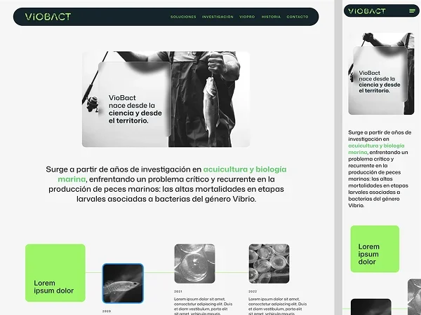 Pieza de portafolio 3