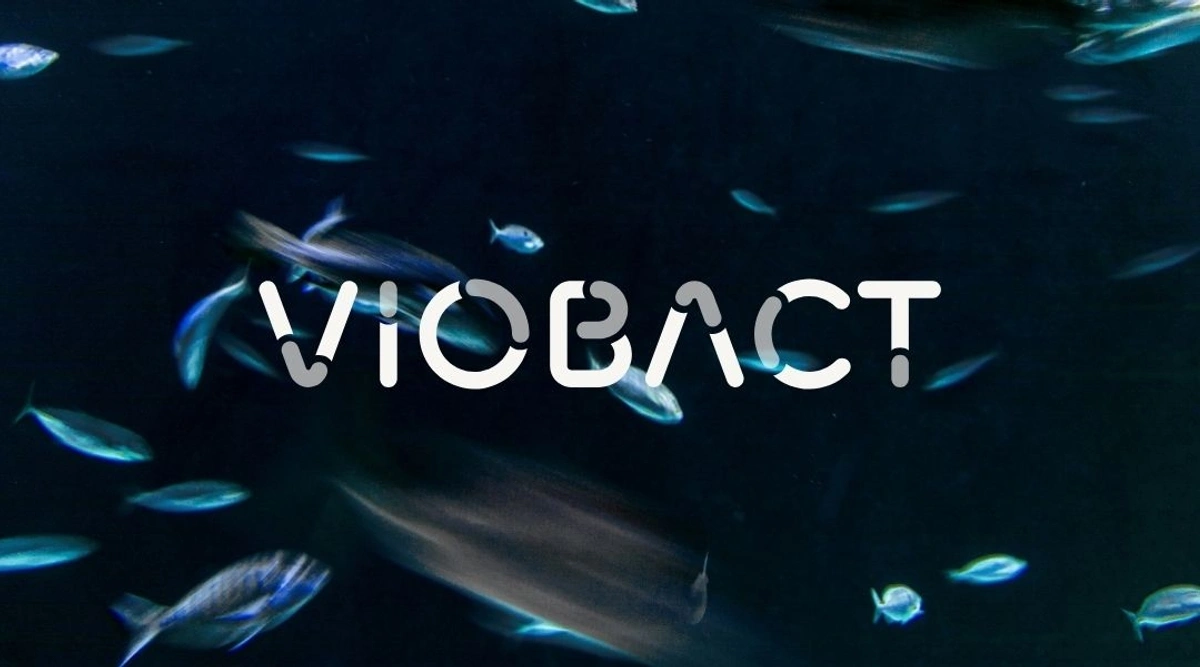 VioBact Visual Identity System